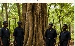 Kaya Kinondo Sacred Forest