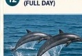Wasini Dolphin Tour