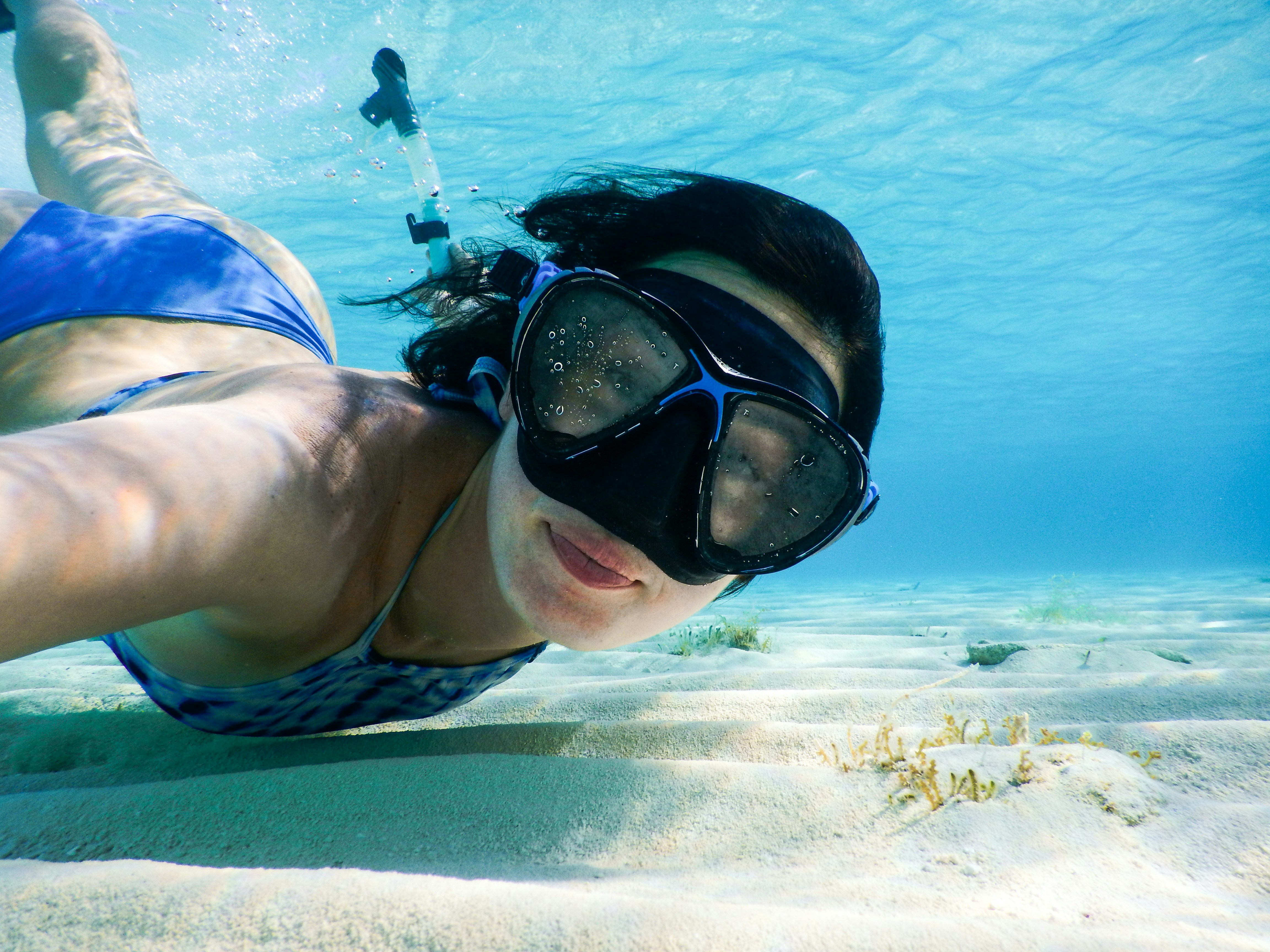 Snorkeling & Sandbank Experience